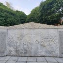 제주 천제연 난대림 | 서귀포 중문 천제연폭포 핵심 정리｜제1~3폭포 선임교 포토스팟 입장 마감시간🌊