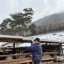 도하목장 이미지