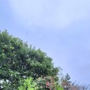 제연농장 이미지