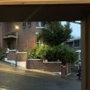 와인그리고밤 | 용산 해방촌 데이트 코스 추천, 낮엔 브런치 밤엔 와인 : 하우스게러지 솔직 후기