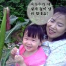 동촌농장 이미지