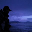 상사리(상) 이미지