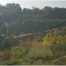 갤럭시부동산중개 이미지