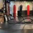 바오짐 발산점 이미지