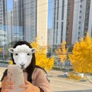 폴바셋 부산대연DT점 이미지