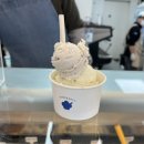 아이스걸크림보이강남대치 | 강남 피스타치오 젤라또 맛집! 아이스걸크림보이 강남대치점 후기 (초코칩 바닐라 서비스까지 완벽)