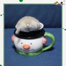 동글동글 이미지