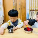 햇살1 Daum카페