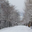 산청 덕산에 눈 치우기 봉사단 이미지