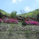 운장산 자연휴양림 | 전자휴 운장산 자연휴양림