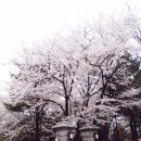 (주)호텔롯데롯데시티호텔마포 이미지