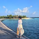 PERI POOL | [💍W20] 결혼준비 마지막 포스팅, 결혼의 꽃 신혼여행 💖 in 헤리턴스아라