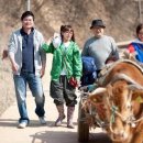 워낭소리 이미지