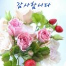 아리따울유 네이버블로그