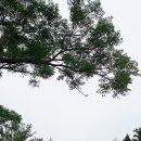 동광리-6 이미지