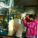 아이페티앙 이미지