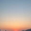 네스트온 이미지
