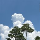 딸부자집 펜션 이미지