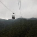 엔젤카케어 이미지