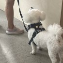 GS25 금산번영 | [진주 금산카페] 금산 파르크