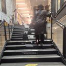 대연각 | 명동대연각타워점 투썸플레이스 아박 케이크 리뷰 / 후기-2026.02.03 화