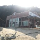 소치자연횟집 네이버블로그