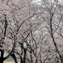 구암성당 앞 이미지