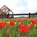 쉬자파크 이미지