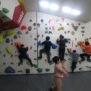 태풍태권도 이미지