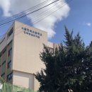 면북초등학교 | 서울면북초등학교 크리스마스 CP 수제비누 만들기 단체 수업 출강 트리비누