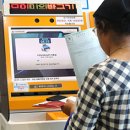 대광 태양광 발전소 이미지