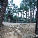 석교리야영장 | [강원도 양양군] 양양 진전사지 도의선사탑