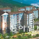 강남리더스약국 이미지