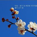 포토샵 cs6에서 이미지에 움직이는 gif 합성하기 이미지