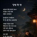 달빛한잔 - 원주시 | 달빛한잔