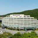 디에스디엘(주) 프레이저 플레이스 센트럴 서울 네이버블로그