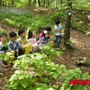 강서구-16 이미지