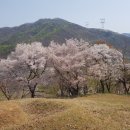 춘심
