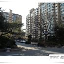 서현1동.우성아파트 이미지