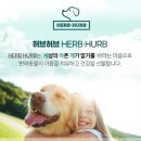 펫힐링센터 이미지