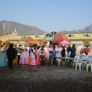 리버트리스쿨 이미지