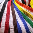 한반도태권도 이미지