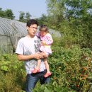 철주농장 이미지