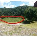 홍천강공인중개사사무소 이미지