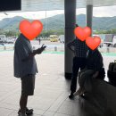 용호초교 | 내 인생에 초록이 필요할 때, 여름 남도 여행 (1): 진주