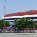 실내체육관 앞 횡단보도 이미지