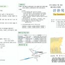 선한목자교회 주보(2016년 7월 19일) 이미지