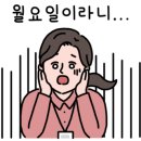 (주)솔 이미지