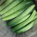 민숙농장 이미지