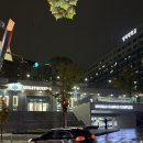 동네푸드 | 폭식각 곱창ㅋㅋㅋㅋ 동네 소울푸드 모래내곱창 후기😋